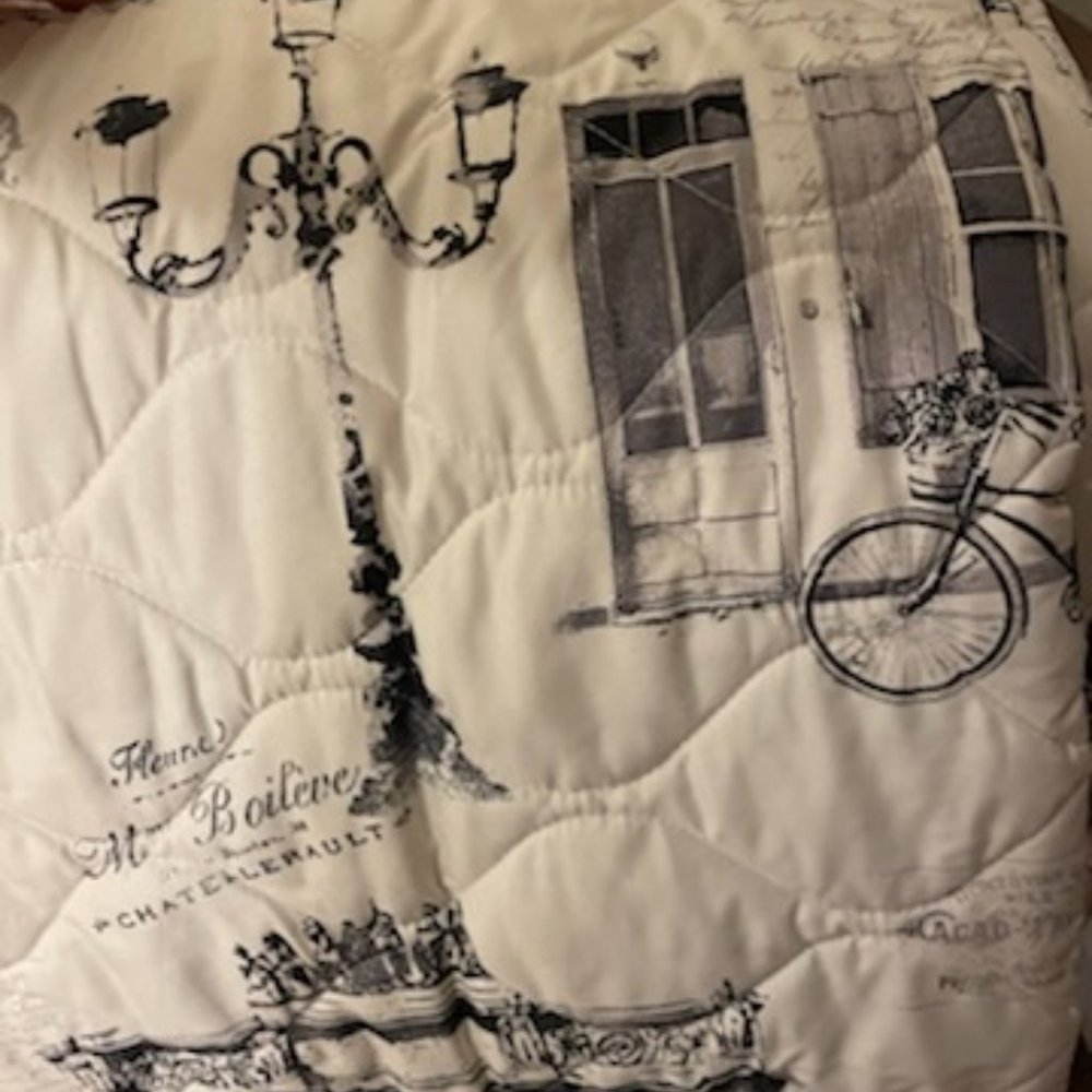 Paris Theme Quilt king or Queen - Picture 3 of 7